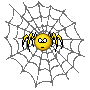 eine Spinne